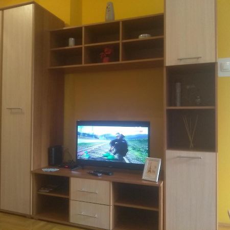 Apartman Marina Sa Garazom Novi Sad Dış mekan fotoğraf