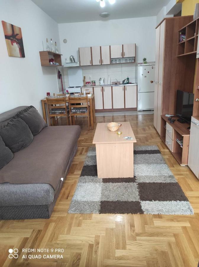 Apartman Marina Sa Garazom Novi Sad Dış mekan fotoğraf