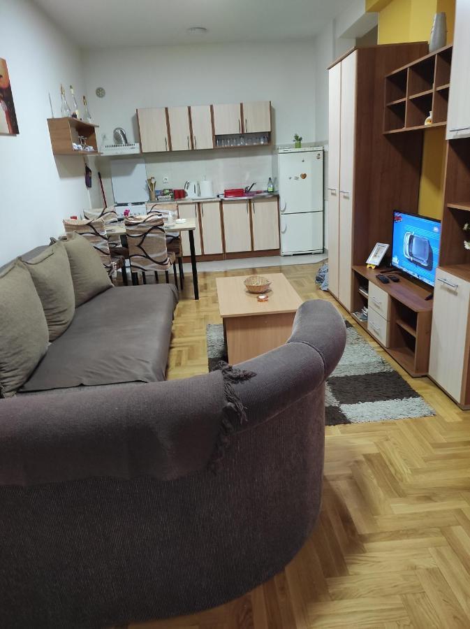 Apartman Marina Sa Garazom Novi Sad Dış mekan fotoğraf