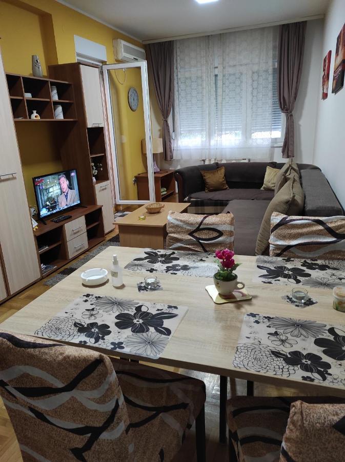 Apartman Marina Sa Garazom Novi Sad Dış mekan fotoğraf