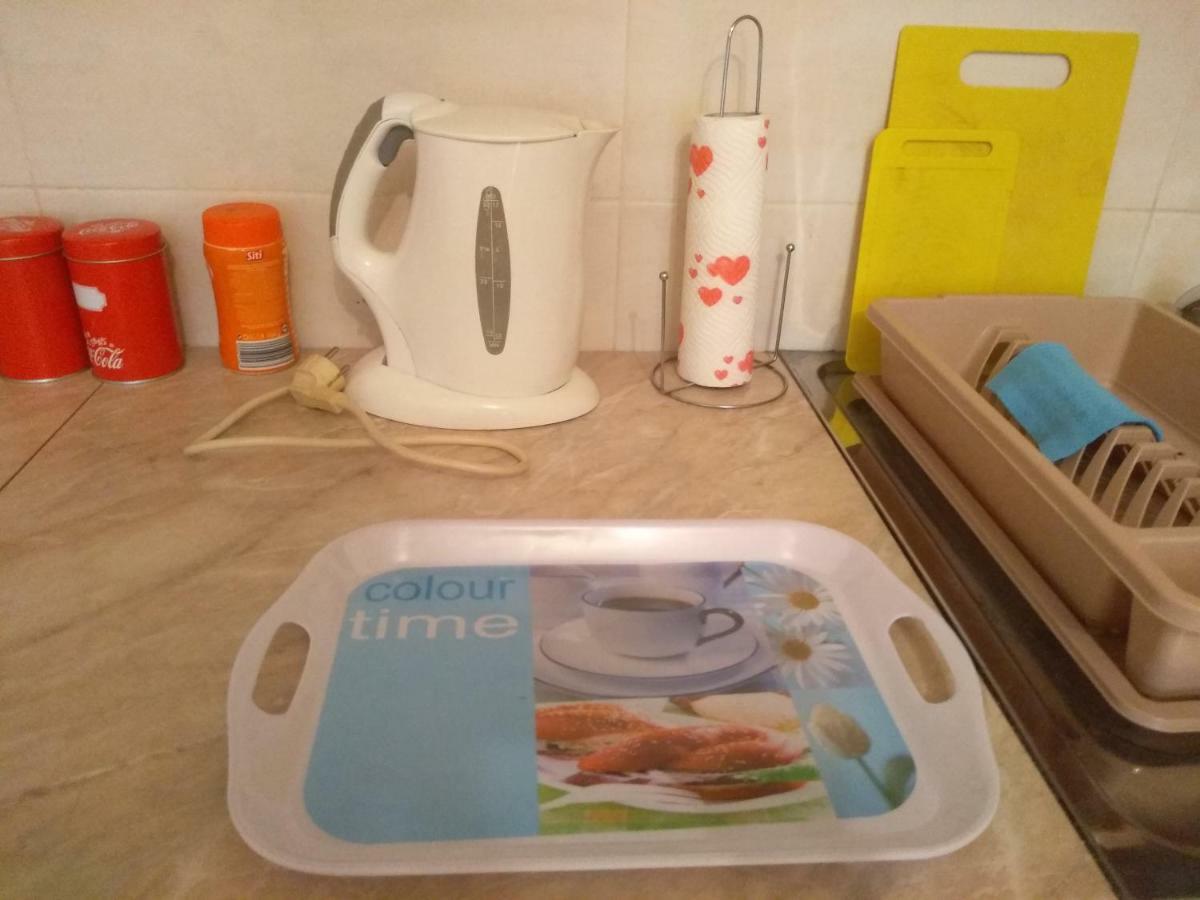 Apartman Marina Sa Garazom Novi Sad Dış mekan fotoğraf
