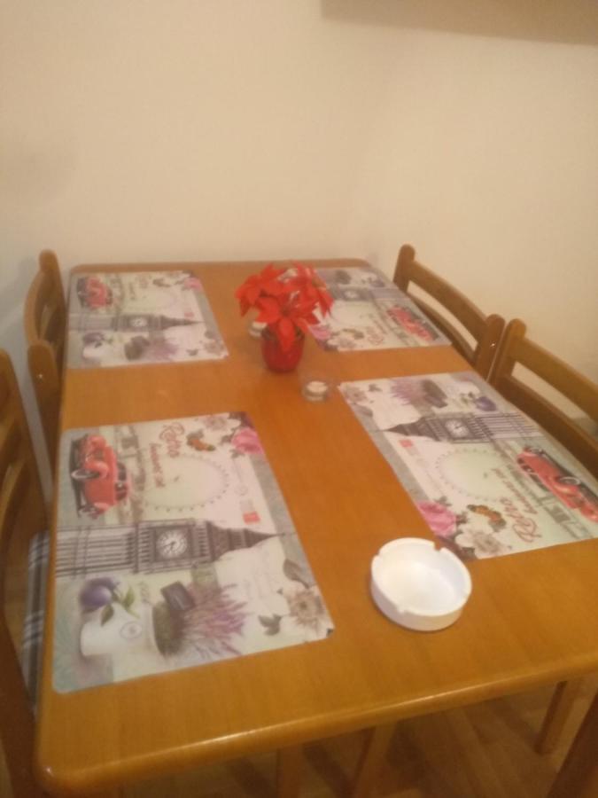 Apartman Marina Sa Garazom Novi Sad Dış mekan fotoğraf