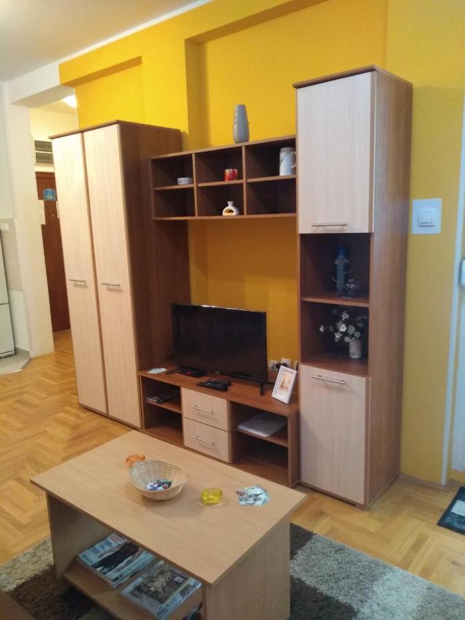Apartman Marina Sa Garazom Novi Sad Dış mekan fotoğraf