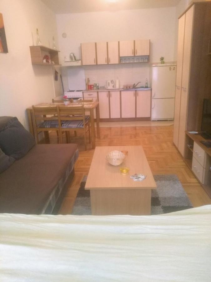 Apartman Marina Sa Garazom Novi Sad Dış mekan fotoğraf